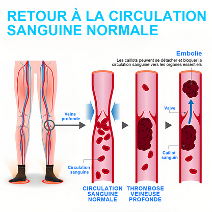 📢[💎Boutique officielle de la marque💎] LuckySong® Chaussettes réparatrices sculptantes en fibre ionique de soie glacée 2026