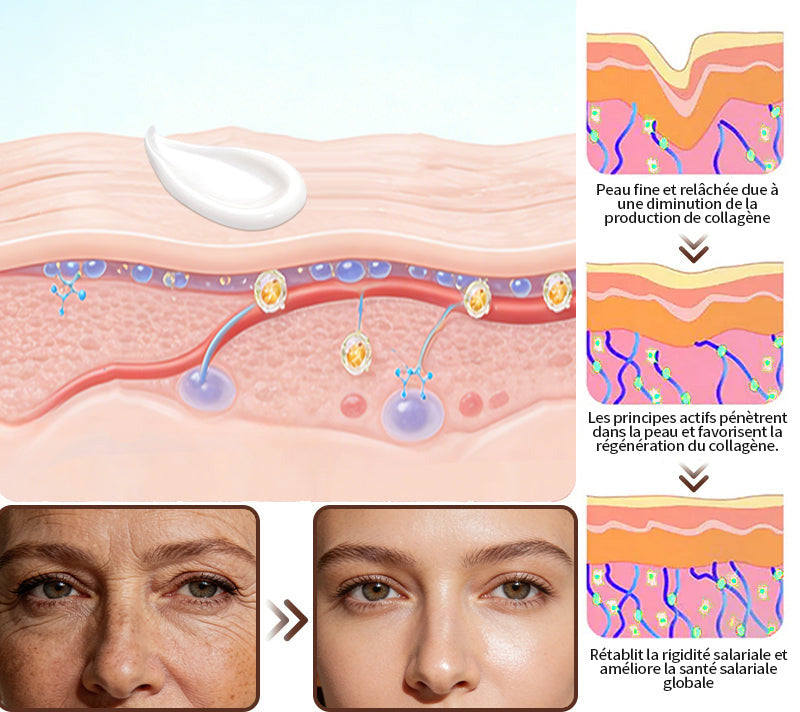 Crème Essence Revitalisante Purelora® à l’Extrait de Cellules Souches, EGF et Peptides de Cuivre (active en profondeur le processus naturel de régénération de la peau, pour une peau visiblement plus ferme et plus lisse)