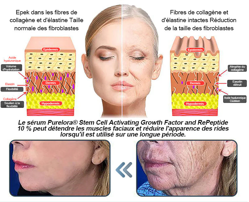 Crème Essence Revitalisante Purelora® à l’Extrait de Cellules Souches, EGF et Peptides de Cuivre (active en profondeur le processus naturel de régénération de la peau, pour une peau visiblement plus ferme et plus lisse)