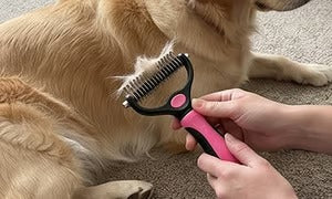 🐶🔥 Brosse anti-poils d’animaux double face – Fini les poils partout ! (🔥 Aujourd’hui seulement : -80 %) 🐾🐾