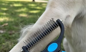 🐶🔥 Brosse anti-poils d’animaux double face – Fini les poils partout ! (🔥 Aujourd’hui seulement : -80 %) 🐾🐾
