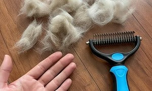 🐶🔥 Brosse anti-poils d’animaux double face – Fini les poils partout ! (🔥 Aujourd’hui seulement : -80 %) 🐾🐾