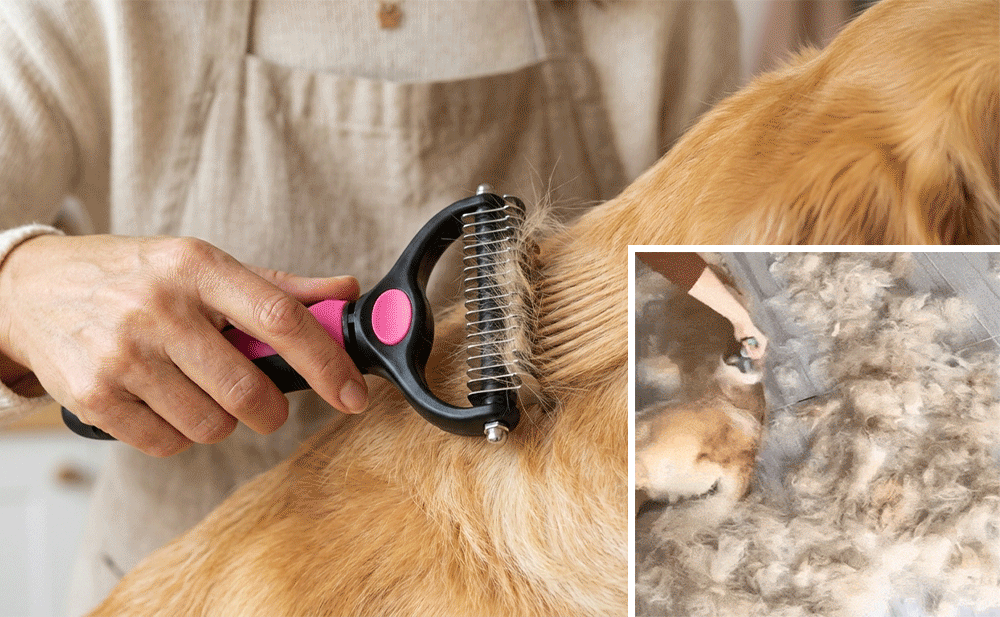 🐶🔥 Brosse anti-poils d’animaux double face – Fini les poils partout ! (🔥 Aujourd’hui seulement : -80 %) 🐾🐾