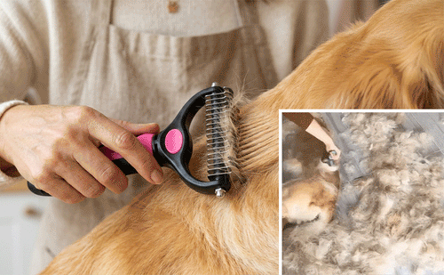 🐶🔥 Brosse anti-poils d’animaux double face – Fini les poils partout ! (🔥 Aujourd’hui seulement : -80 %) 🐾🐾